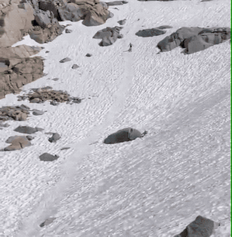Acid GIFs, July 25 (25 gifs)