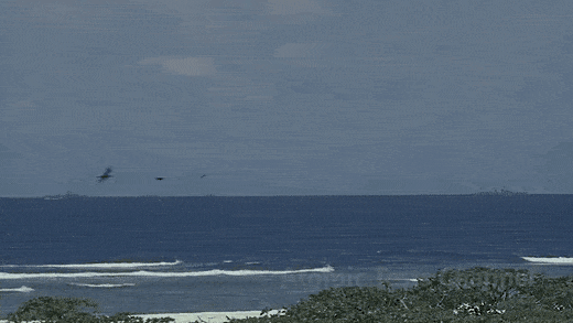 Acid GIFs, July 25 (25 gifs)