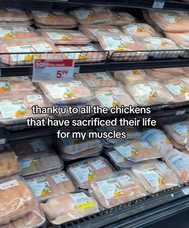 Gym Memes (22 pics)