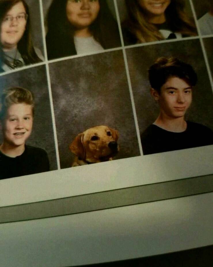 Daily Pictures. Part 1 (54 pics)
