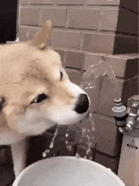 Acid GIFs, July 28 (25 gifs) Acid GIFs, July 28 (25 gifs)