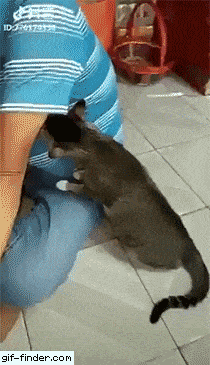 Acid GIFs, July 28 (25 gifs) Acid GIFs, July 28 (25 gifs)