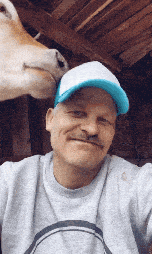 Acid GIFs, July 28 (25 gifs) Acid GIFs, July 28 (25 gifs)