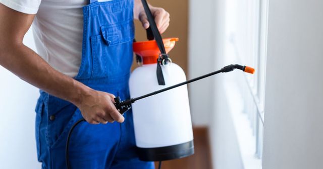 Pest Control and Insurance: Essential Coverage for Property Protection Pest Control and Insurance: Essential Coverage for Property Protection
