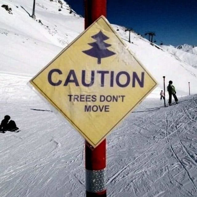 Random Memes (33 pics)