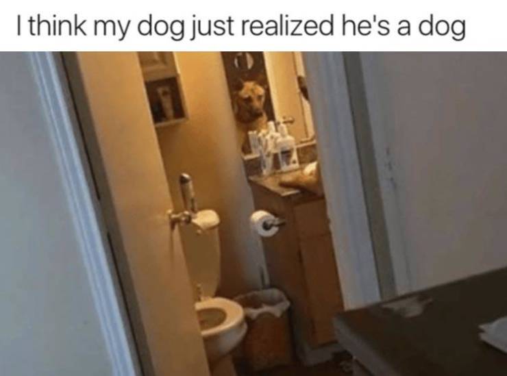Daily Pictures. Part 2 (59 pics)