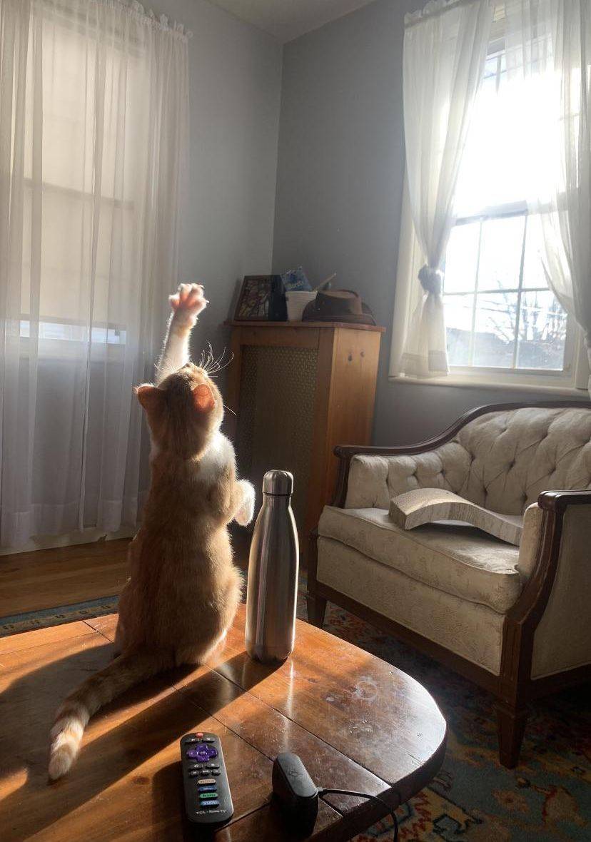 Daily Pictures. Part 2 (59 pics)