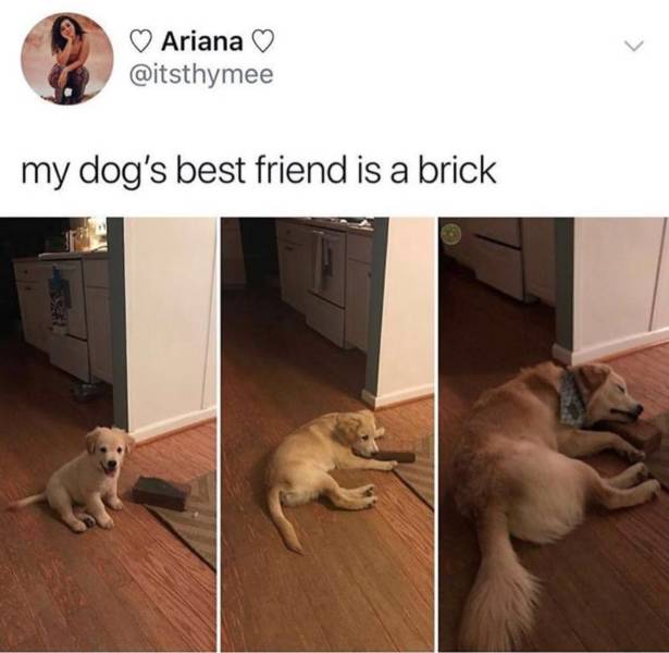 Daily Pictures. Part 2 (59 pics)