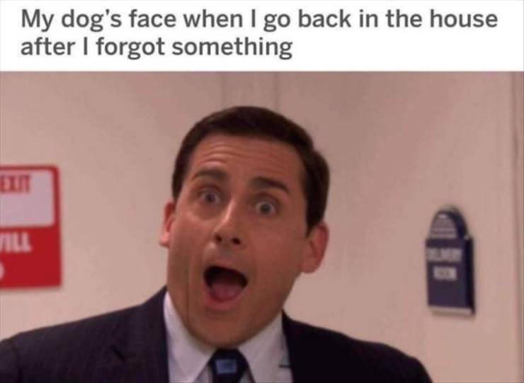Daily Pictures. Part 2 (59 pics)