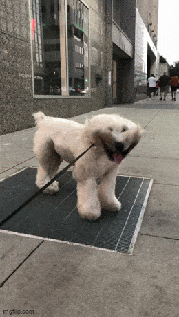 Acid GIFs, July 29 (25 gifs)