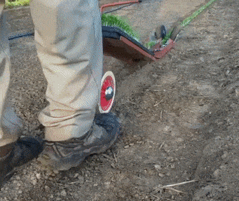 Acid GIFs, July 29 (25 gifs)