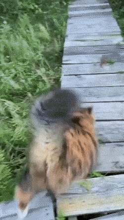 Acid GIFs, July 29 (25 gifs)