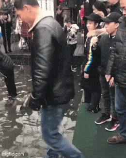 Acid GIFs, July 29 (25 gifs)