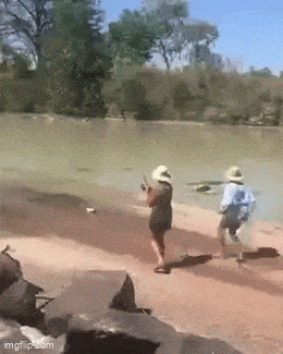 Acid GIFs, July 29 (25 gifs)