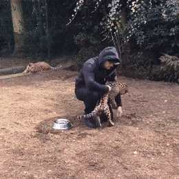 Acid GIFs, July 31 (25 gifs) Acid GIFs, July 31 (25 gifs)