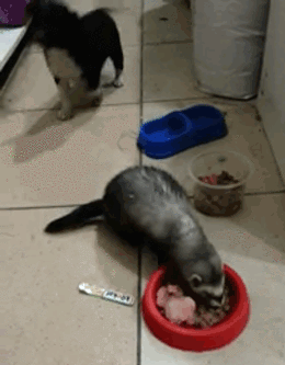 Acid GIFs, July 31 (25 gifs)
