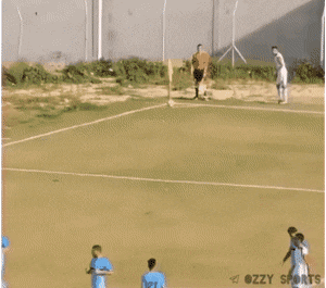 Acid GIFs, July 31 (25 gifs) Acid GIFs, July 31 (25 gifs)