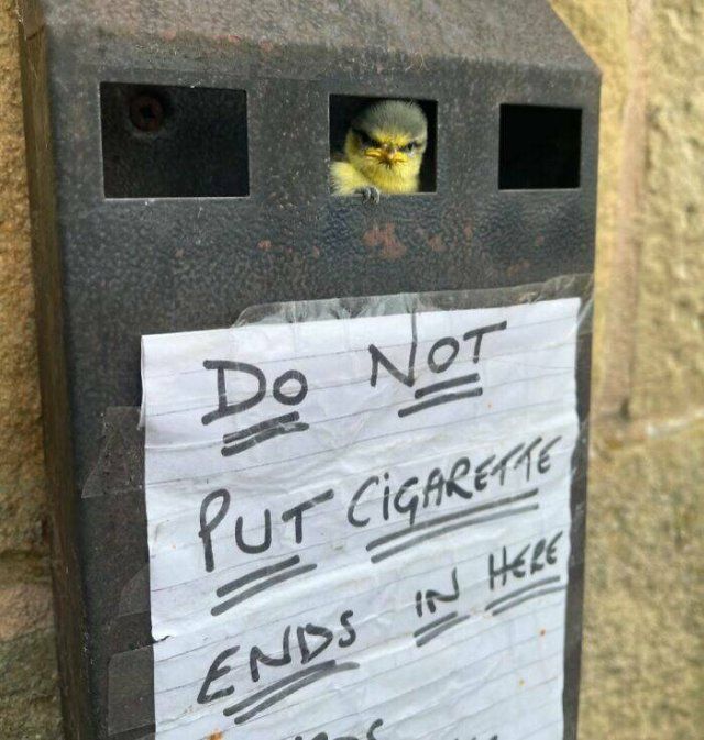 Hilarious Finds (24 pics)