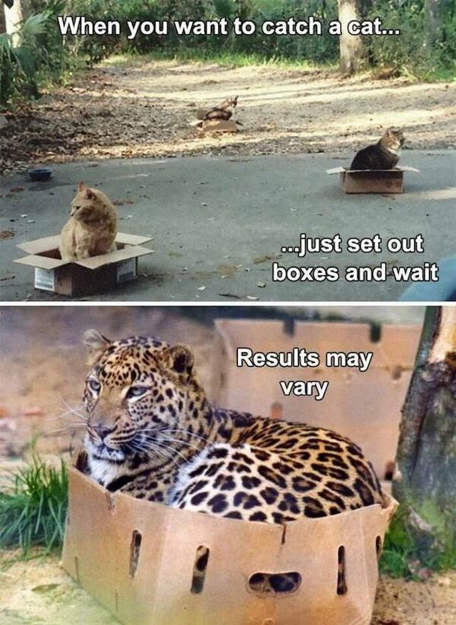 Memes For Animal Lovers (25 pics)