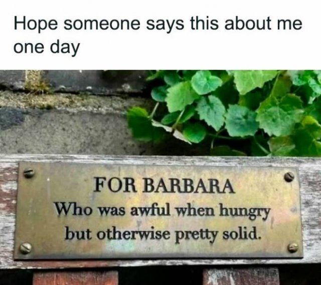 Funny Posts (25 pics)