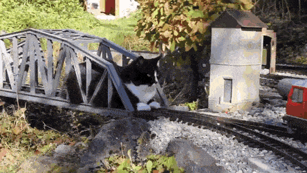 Acid GIFs, August 1 (25 gifs)