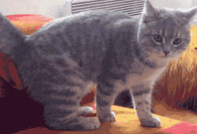 Acid GIFs, August 1 (25 gifs)