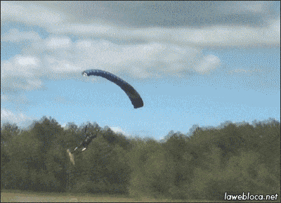 Acid GIFs, August 1 (25 gifs)