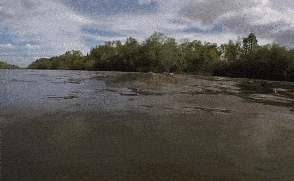 Acid GIFs, August 1 (25 gifs)