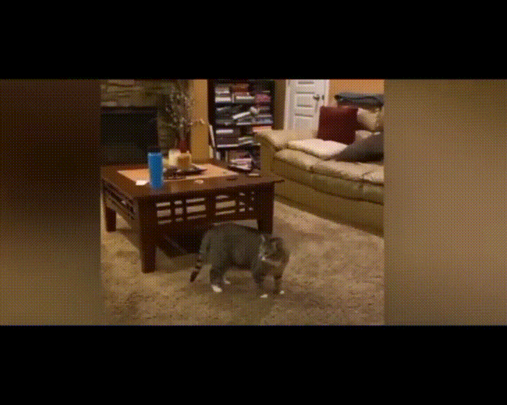 1753973650_10.gif