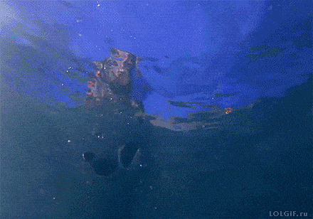 Acid GIFs, August 1 (25 gifs)