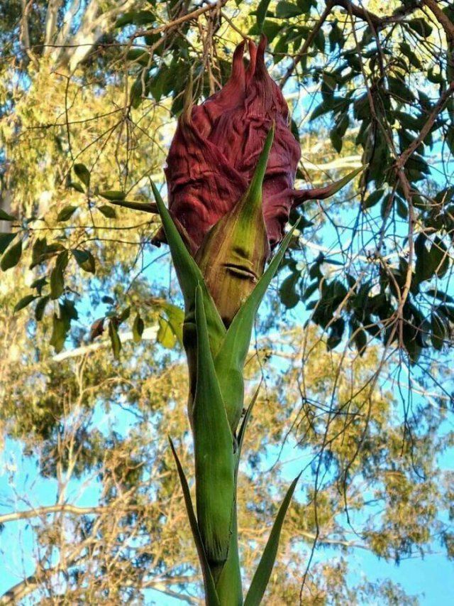 Nature Can Be Scary (25 pics)