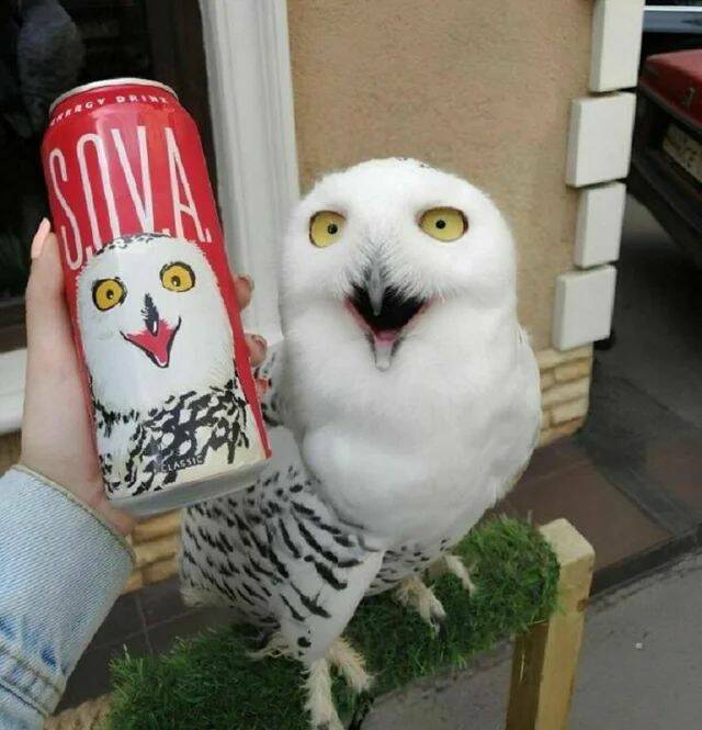 Daily Pictures. Part 2 (58 pics)