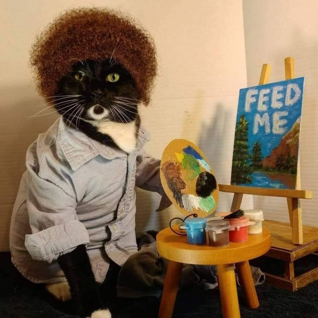 Daily Pictures. Part 1 (59 pics)