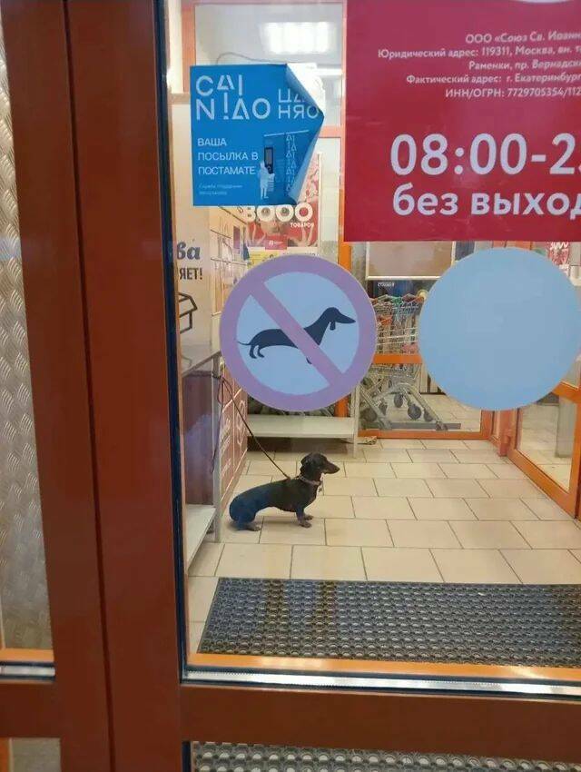 Daily Pictures. Part 2 (58 pics)