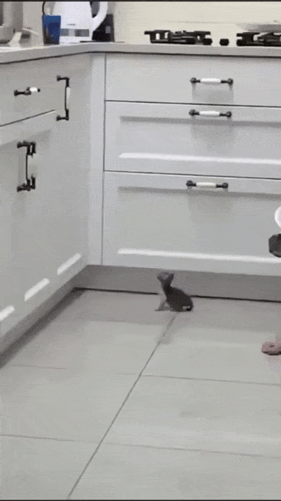 Acid GIFs, August 4 (25 gifs)
