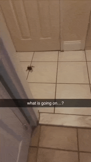 Acid GIFs, August 4 (25 gifs)