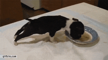 Acid GIFs, August 4 (25 gifs)