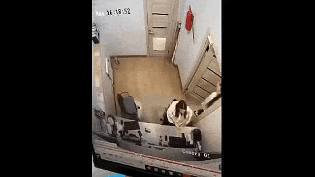 Acid GIFs, August 4 (25 gifs)