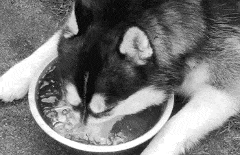Acid GIFs, August 4 (25 gifs)