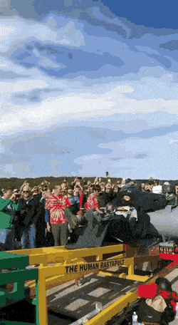 Acid GIFs, August 4 (25 gifs)