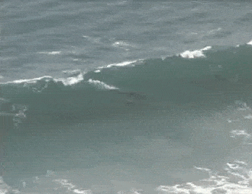 Acid GIFs, August 4 (25 gifs)