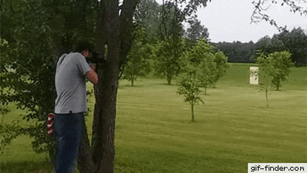 Acid GIFs, August 4 (25 gifs)