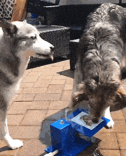Acid GIFs, August 4 (25 gifs)