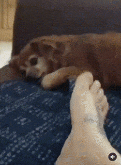 Acid GIFs, August 4 (25 gifs)