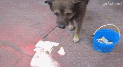 Acid GIFs, August 4 (25 gifs)