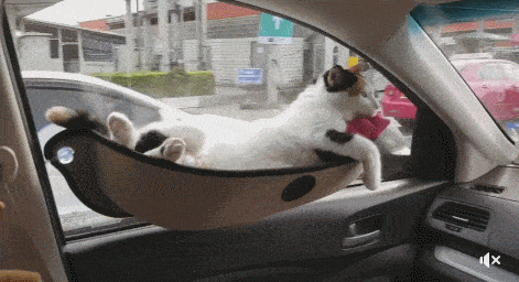 Acid GIFs, August 4 (25 gifs)