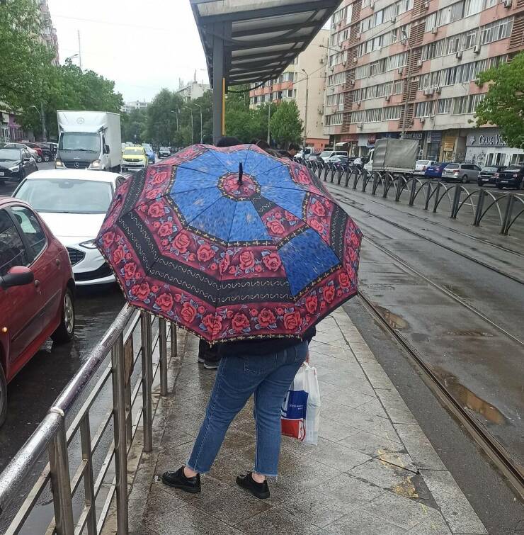 Daily Pictures. Part 1 (60 pics)