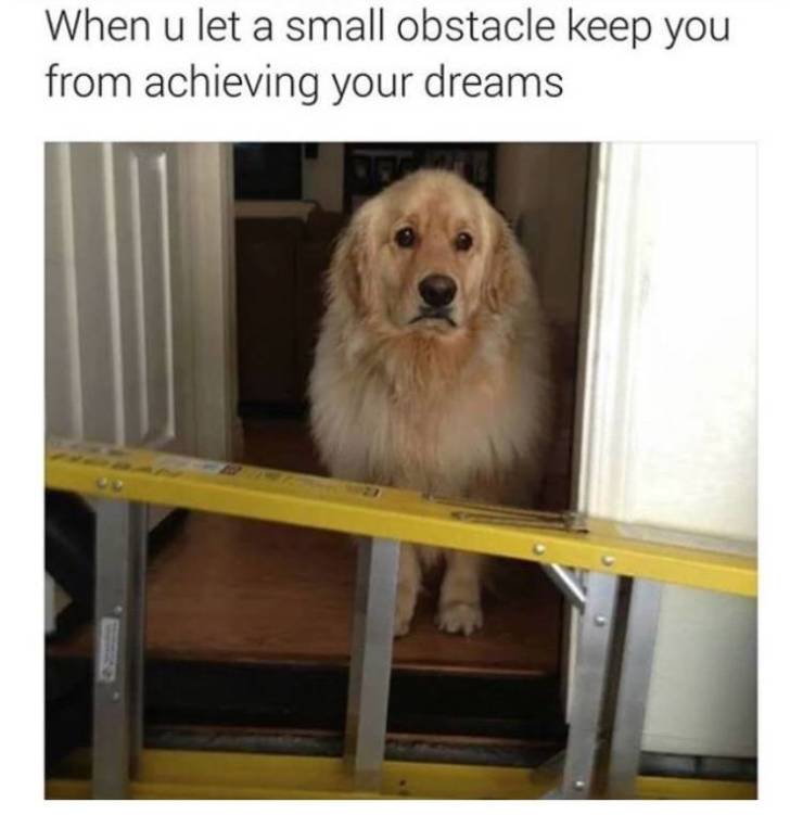 Daily Pictures. Part 2 (59 pics)