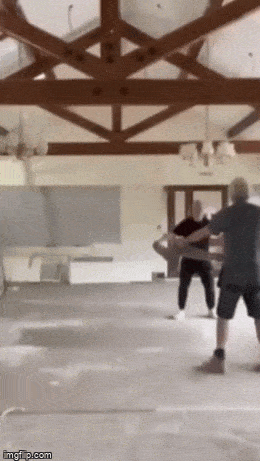 Acid GIFs, August 5 (25 gifs)