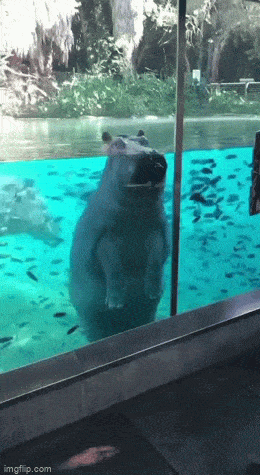 Acid GIFs, August 5 (25 gifs)